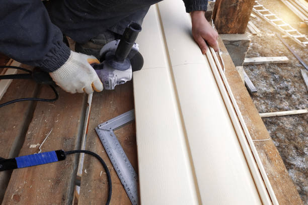 Best Siding Removal and Disposal  in Lake Station, IN
